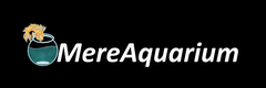 MereAquarium